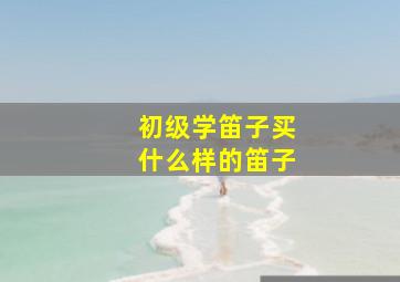 初级学笛子买什么样的笛子