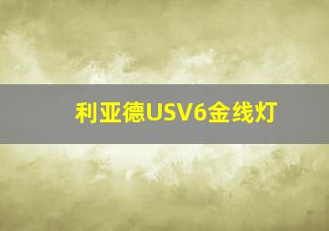 利亚德USV6金线灯