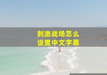 刺激战场怎么设置中文字幕