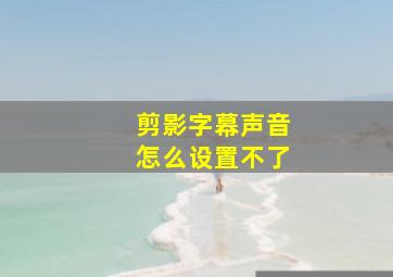 剪影字幕声音怎么设置不了