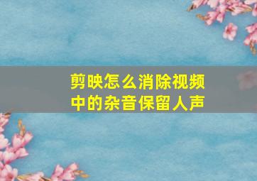 剪映怎么消除视频中的杂音保留人声