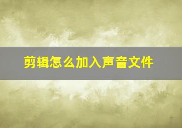 剪辑怎么加入声音文件