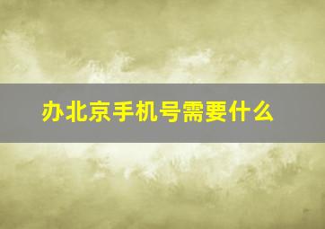 办北京手机号需要什么