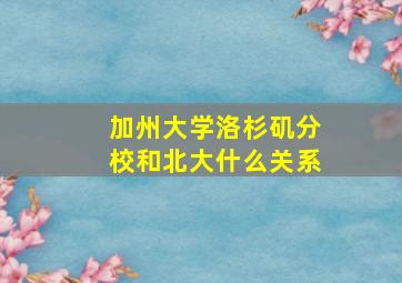 加州大学洛杉矶分校和北大什么关系