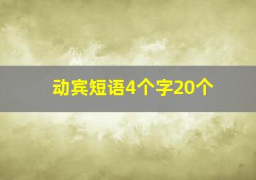 动宾短语4个字20个