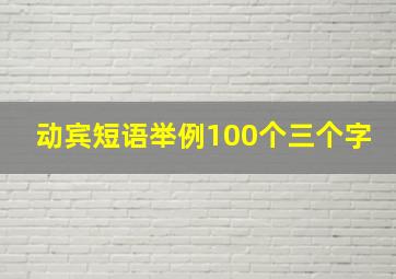 动宾短语举例100个三个字