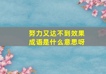 努力又达不到效果成语是什么意思呀