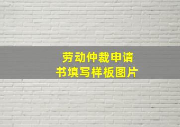 劳动仲裁申请书填写样板图片