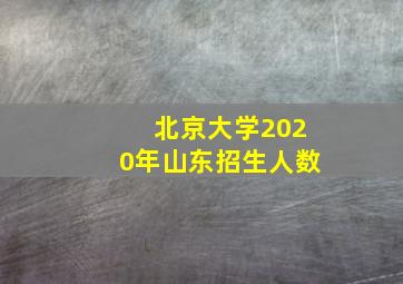 北京大学2020年山东招生人数