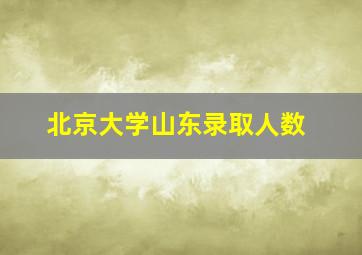 北京大学山东录取人数