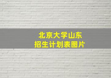 北京大学山东招生计划表图片