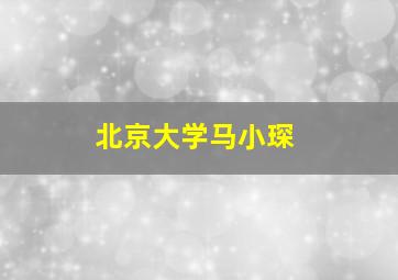 北京大学马小琛