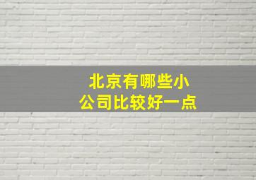 北京有哪些小公司比较好一点