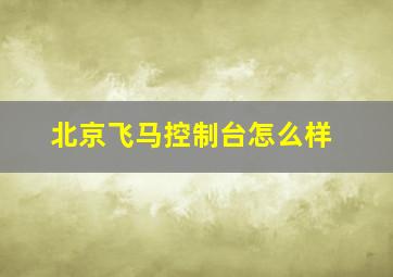 北京飞马控制台怎么样