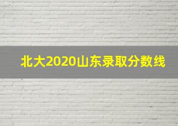 北大2020山东录取分数线