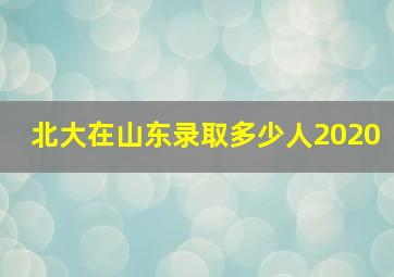 北大在山东录取多少人2020