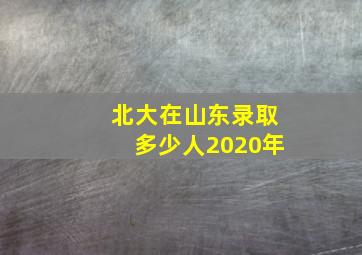 北大在山东录取多少人2020年