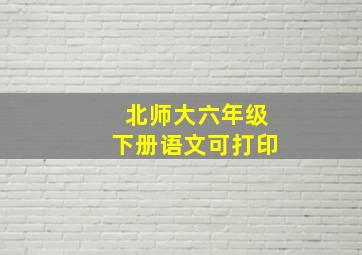 北师大六年级下册语文可打印