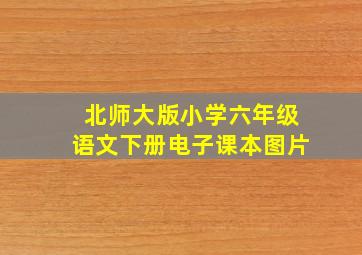 北师大版小学六年级语文下册电子课本图片