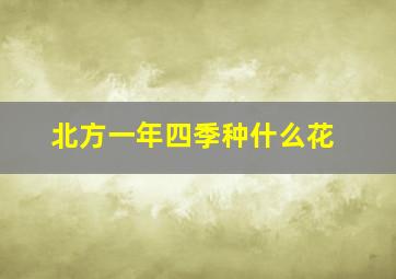 北方一年四季种什么花