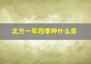 北方一年四季种什么菜