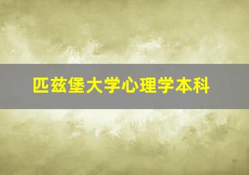 匹兹堡大学心理学本科