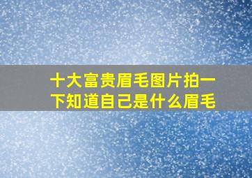 十大富贵眉毛图片拍一下知道自己是什么眉毛