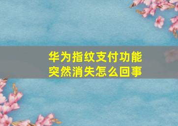 华为指纹支付功能突然消失怎么回事