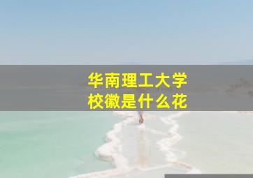 华南理工大学校徽是什么花