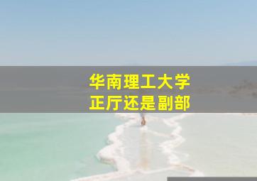 华南理工大学正厅还是副部