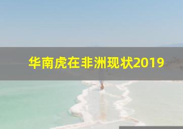 华南虎在非洲现状2019