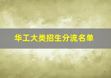 华工大类招生分流名单