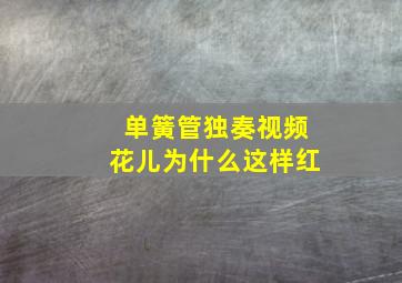 单簧管独奏视频花儿为什么这样红