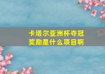 卡塔尔亚洲杯夺冠奖励是什么项目啊