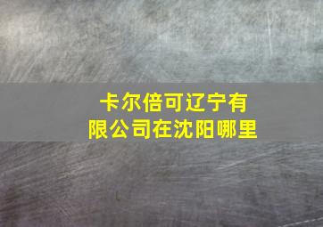 卡尔倍可辽宁有限公司在沈阳哪里