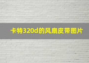 卡特320d的风扇皮带图片