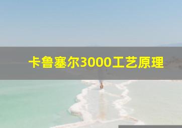 卡鲁塞尔3000工艺原理