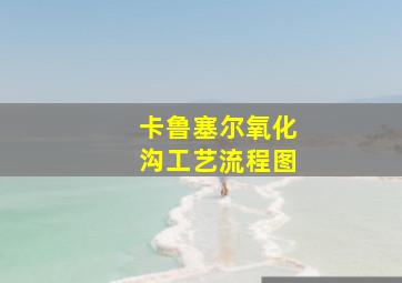 卡鲁塞尔氧化沟工艺流程图