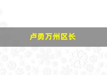 卢勇万州区长