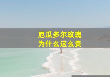 厄瓜多尔玫瑰为什么这么贵