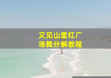 又见山里红广场舞分解教程