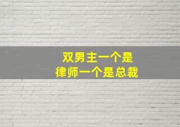 双男主一个是律师一个是总裁