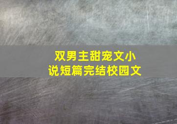 双男主甜宠文小说短篇完结校园文