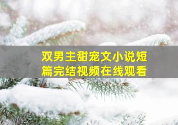 双男主甜宠文小说短篇完结视频在线观看