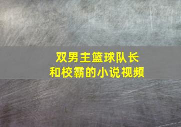 双男主篮球队长和校霸的小说视频