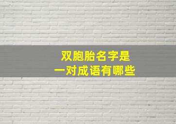 双胞胎名字是一对成语有哪些