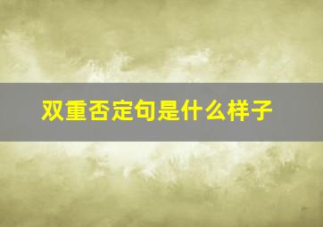 双重否定句是什么样子