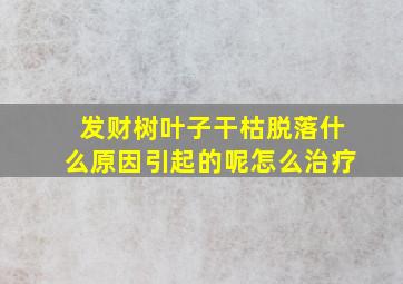 发财树叶子干枯脱落什么原因引起的呢怎么治疗