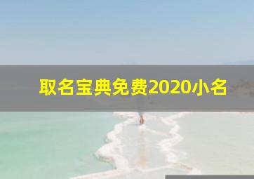 取名宝典免费2020小名