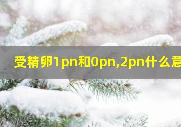 受精卵1pn和0pn,2pn什么意思